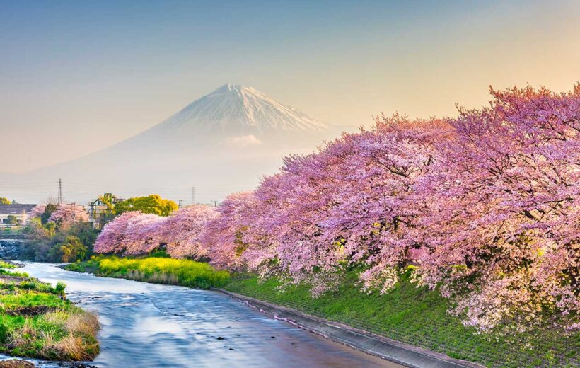 Tour di gruppo Hanami e Alpi in Giappone, viaggio con guida